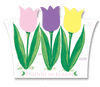 Tulip Friends